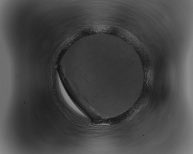 X0000097950644200803241154