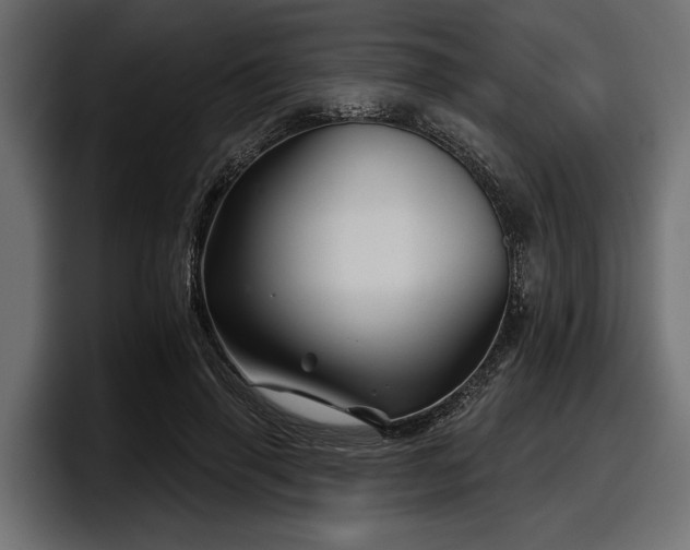 X0000097950645200803241154