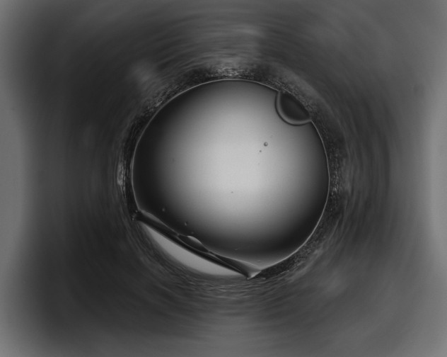 X0000097950646200803241154