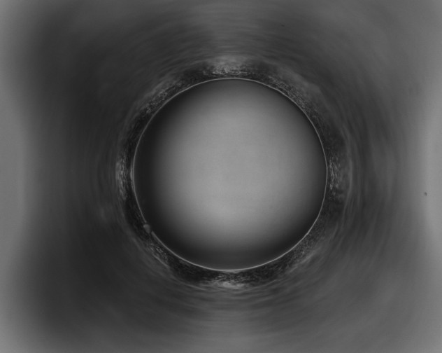 X0000097950648200803241154