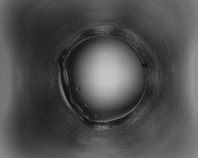 X0000097950649200803241154