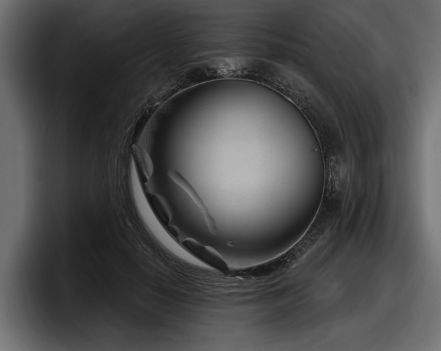 X0000097950650200803241154