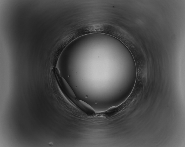 X0000097950652200803241154