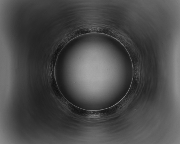 X0000097950653200803241154