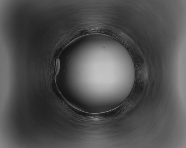 X0000097950654200803241154