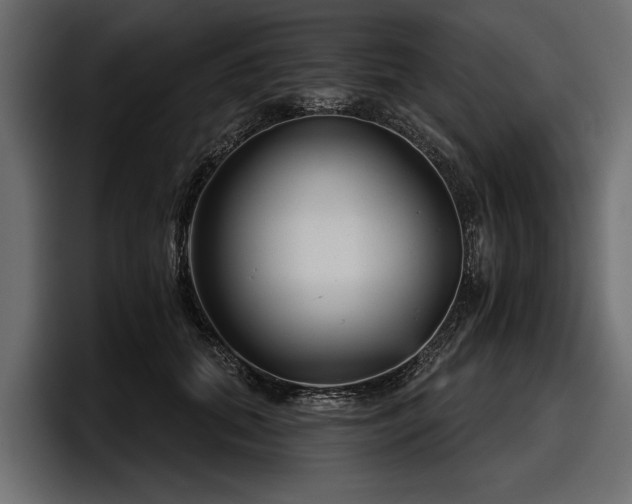 X0000097950655200803241154