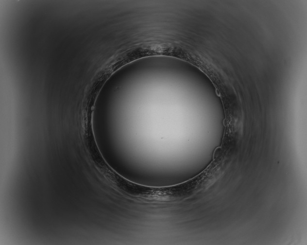 X0000097950656200803241154