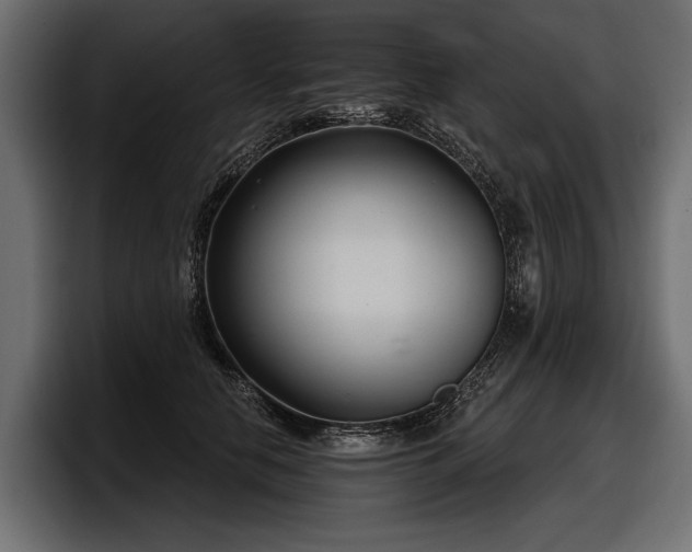 X0000097950658200803241154