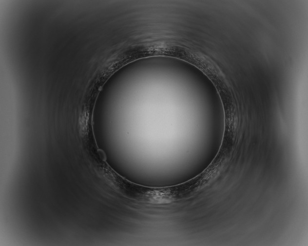 X0000097950660200803241154