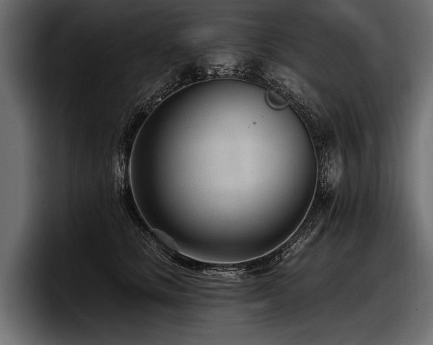 X0000097950661200803241154
