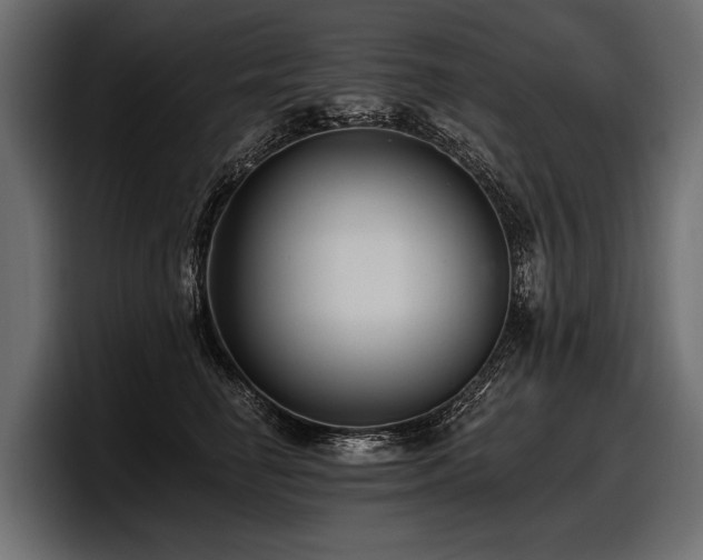 X0000097950662200803241154