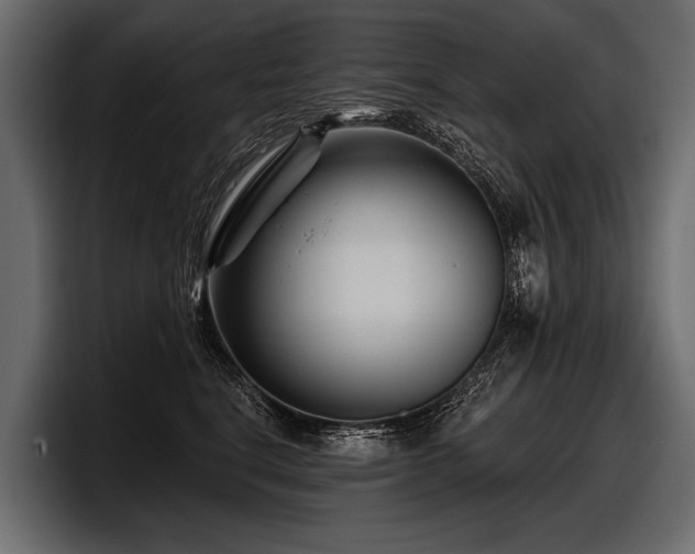 X0000097950664200803241154