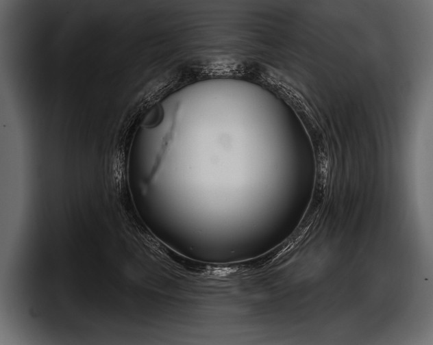 X0000097950665200803241154