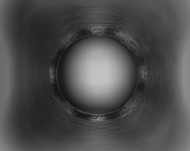 X0000097950667200803241154