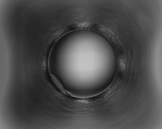 X0000097950668200803241154