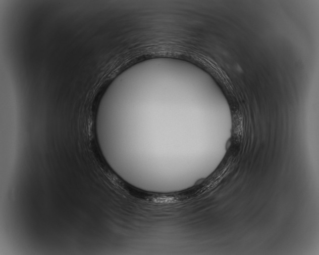 X0000097950669200803241154