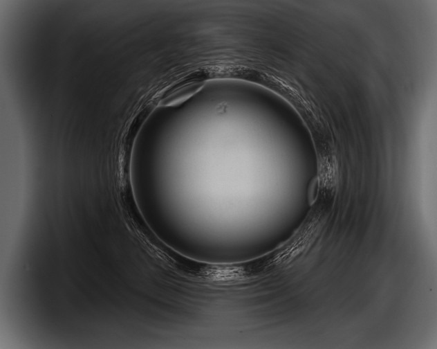 X0000097950670200803241155