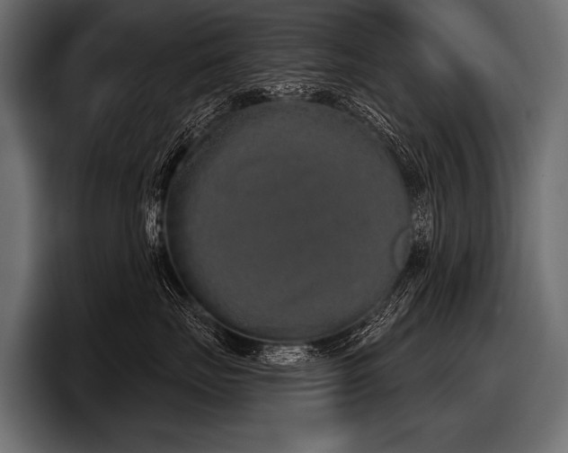 X0000097950671200803241155