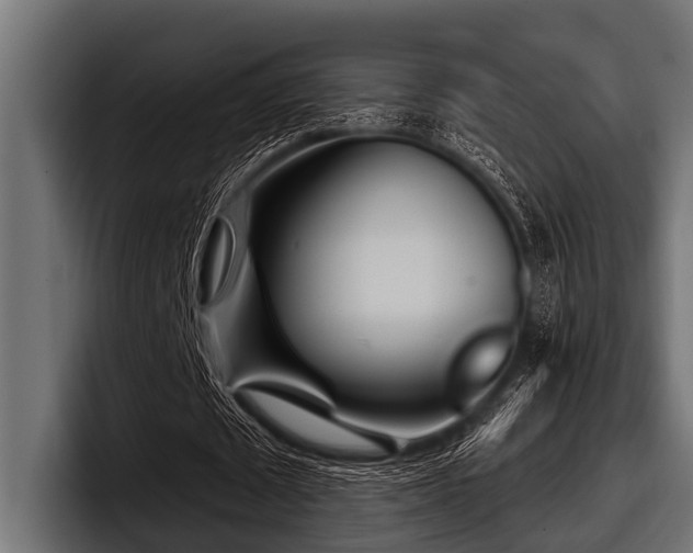 X0000097950673200803241154