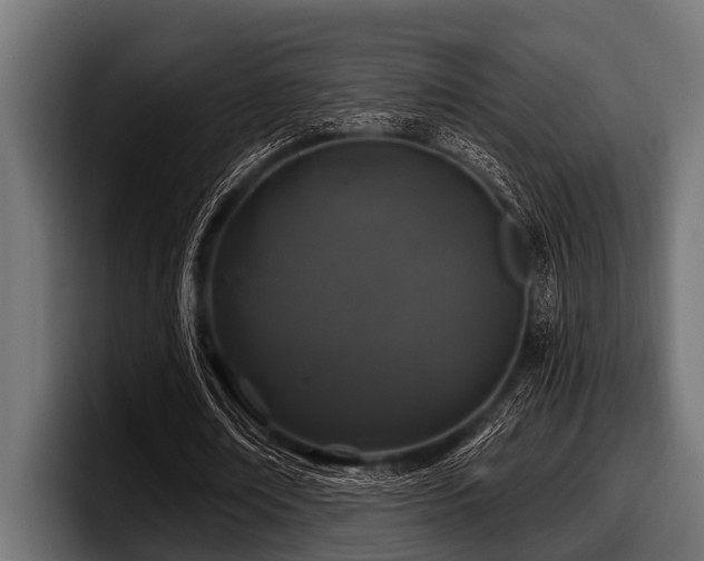 X0000097950674200803241154