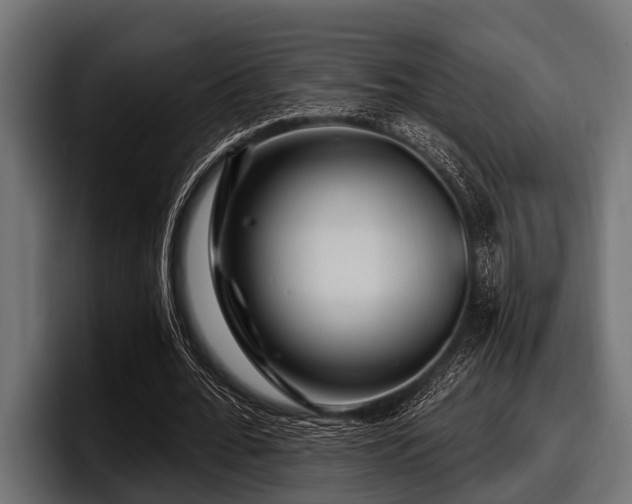 X0000097950676200803241154