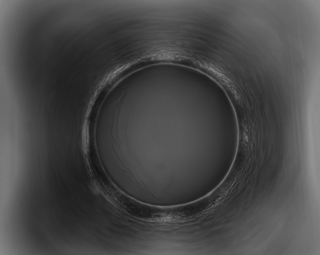 X0000097950678200803241154