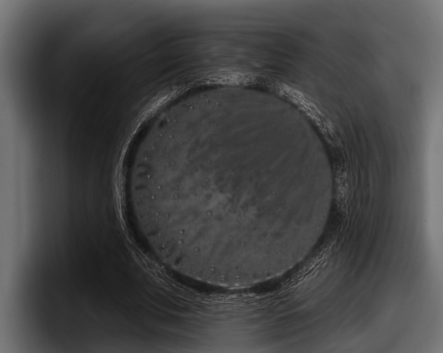 X0000097950679200803241154