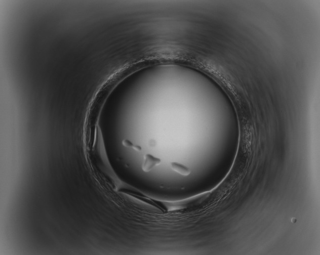 X0000097950680200803241154
