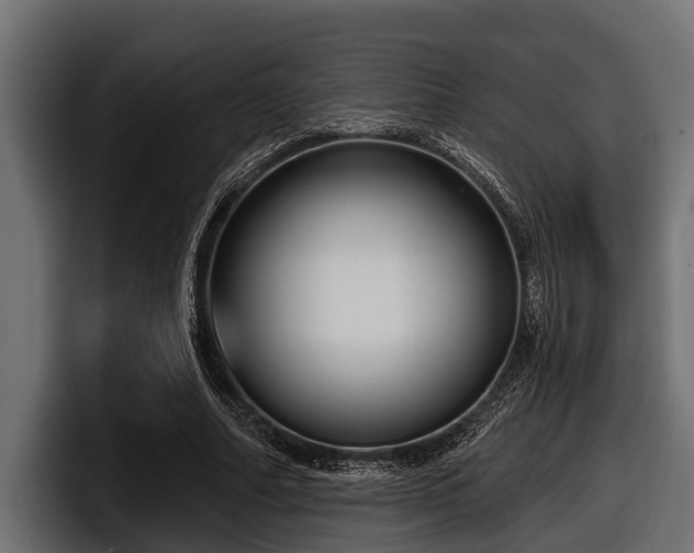 X0000097950682200803241154
