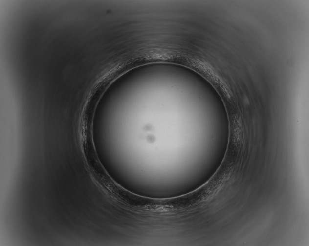 X0000097950683200803241154