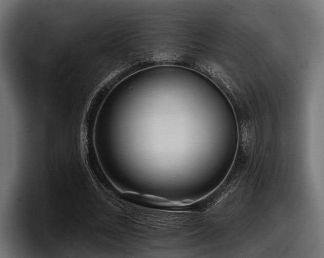 X0000097950684200803241154
