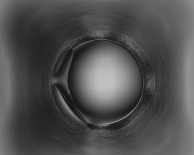 X0000097950685200803241154