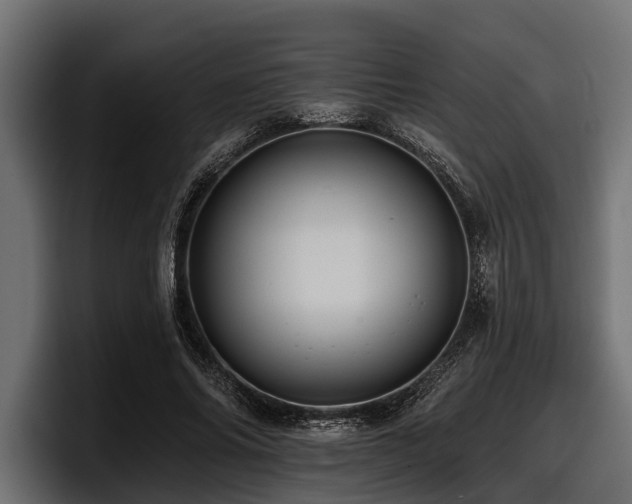 X0000097950686200803241154
