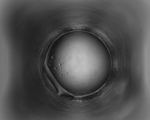 X0000097950687200803241154