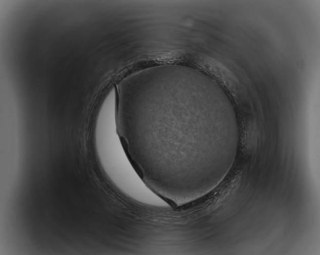 X0000097950689200803241154