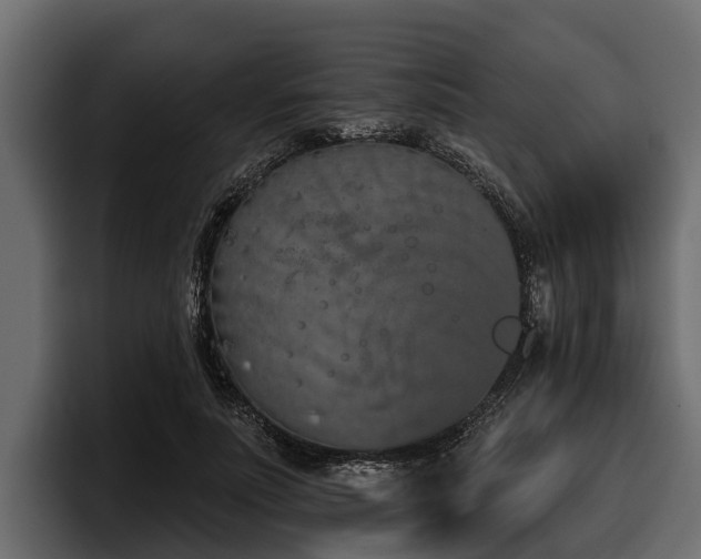 X0000097950691200803241154