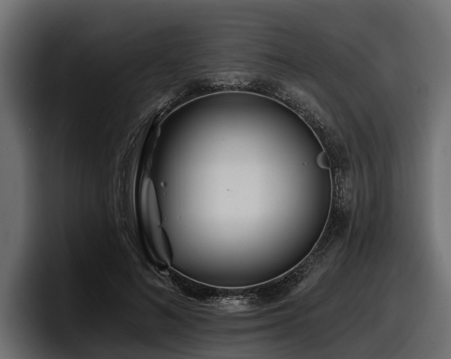 X0000097950692200803241154