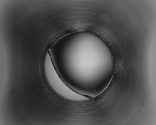 X0000097950693200803241154