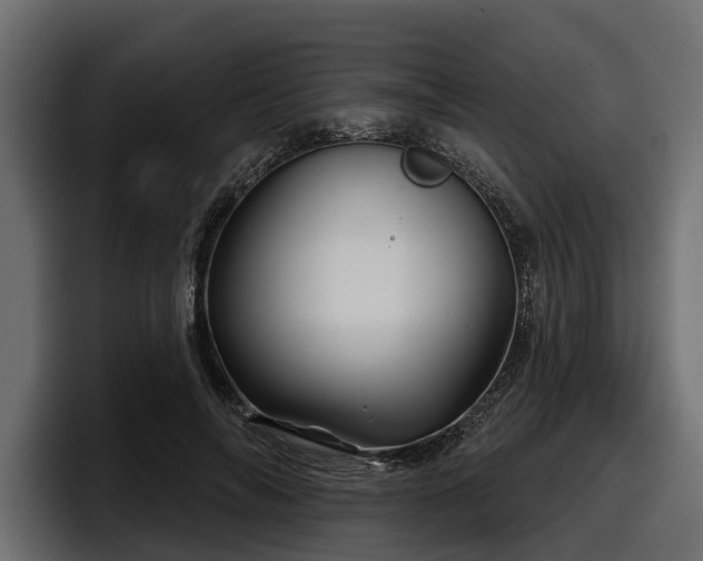 X0000097950694200803241154