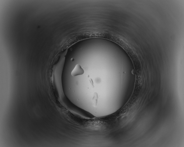 X0000097950695200803241154