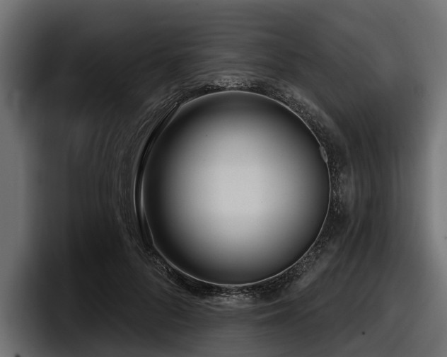 X0000097950696200803241154