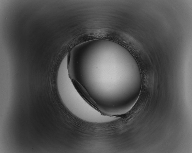 X0000097950697200803241154