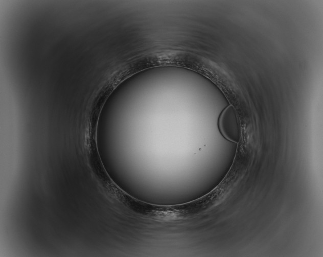 X0000097950698200803241154