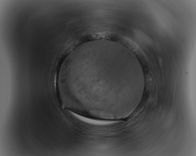 X0000097950699200803241154