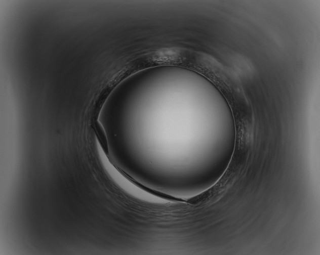 X0000097950700200803241154