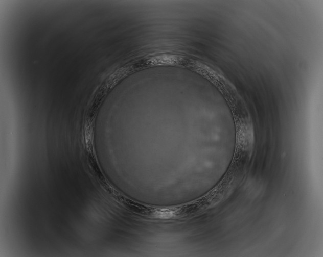 X0000097950701200803241154