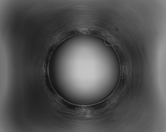 X0000097950702200803241154