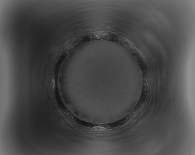X0000097950703200803241154