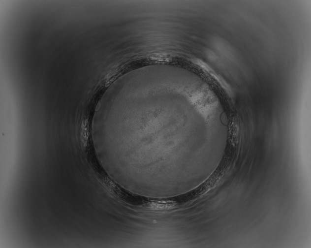 X0000097950707200803241153