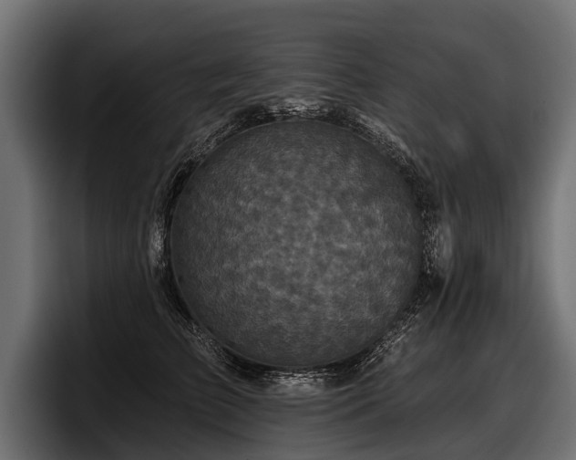 X0000097950709200803241153